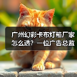 广州幻彩卡布灯箱厂家怎么选？一位广告总监的售后避坑实录（图1）