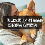 佛山双面卡布灯箱店的幻彩解决方案案例（图2）
