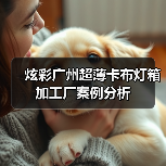 炫彩广州超薄卡布灯箱加工厂案例分析（图1）
