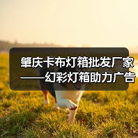 肇庆卡布灯箱批发厂家——幻彩灯箱助力广告公司创新展示（图4）