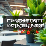 广州动态卡布灯箱工厂的幻彩灯箱解决您项目的需求（图1）