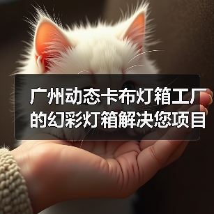 广州动态卡布灯箱工厂的幻彩灯箱解决您项目的需求（图4）