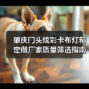 肇庆门头炫彩卡布灯箱定做厂家质量筛选指南（广告公司专用）（图2）