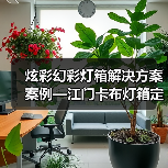 炫彩幻彩灯箱解决方案案例—江门卡布灯箱定做厂家（图2）