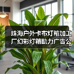 珠海户外卡布灯箱加工厂幻彩灯箱助力广告公司项目成功（图4）