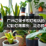 广州订做卡布灯箱店的幻彩灯箱案例：动态视觉与定制化完美结合（图2）