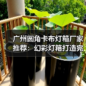 广州圆角卡布灯箱厂家推荐：幻彩灯箱打造完美广告展示（图2）