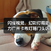 闪耀视觉，幻彩灯箱助力广州卡布灯箱门头店创新展示（图4）