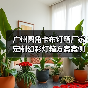 广州圆角卡布灯箱厂家定制幻彩灯箱方案案例（图1）