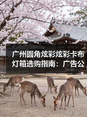 广州圆角炫彩炫彩卡布灯箱选购指南：广告公司如何用品质点亮品牌故事（图1）
