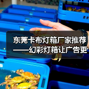 东莞卡布灯箱厂家推荐——幻彩灯箱让广告更出彩（图3）