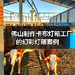 佛山制作卡布灯箱工厂的幻彩灯箱案例（图2）