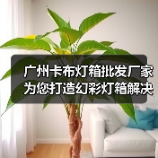 广州卡布灯箱批发厂家为您打造幻彩灯箱解决方案（图4）