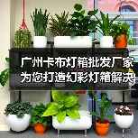 广州卡布灯箱批发厂家为您打造幻彩灯箱解决方案（图3）