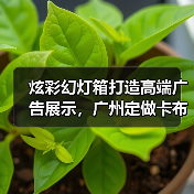 炫彩幻灯箱打造高端广告展示，广州定做卡布灯箱工厂选择创怡（图4）