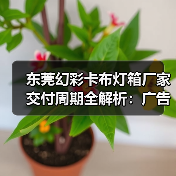 东莞幻彩卡布灯箱厂家交付周期全解析：广告公司选型指南（图4）
