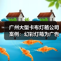 广州大型卡布灯箱公司案例：幻彩灯箱为广告公司提供定制化解决方案（图3）
