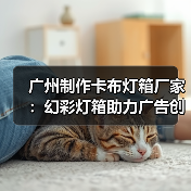 广州制作卡布灯箱厂家：幻彩灯箱助力广告创新（图2）