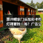 惠州哪家门头炫彩卡布灯箱更胜一筹？广告公司的真实选择故事（图1）