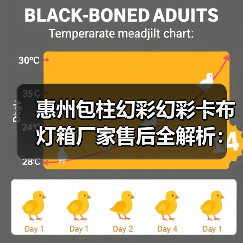 惠州包柱幻彩幻彩卡布灯箱厂家售后全解析：广告公司选型必读指南（图2）
