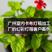 广州室内卡布灯箱加工厂的幻彩灯箱客户案例（图2）