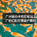 广州室内卡布灯箱加工厂的幻彩灯箱客户案例（图1）