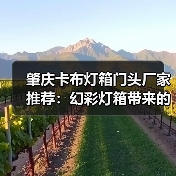 肇庆卡布灯箱门头厂家推荐：幻彩灯箱带来的视觉革命（图1）