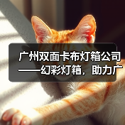 广州双面卡布灯箱公司——幻彩灯箱，助力广告公司显著提升展现效果（图2）