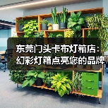 东莞门头卡布灯箱店：幻彩灯箱点亮您的品牌展示（图2）