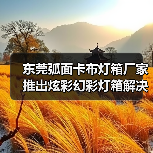 东莞弧面卡布灯箱厂家推出炫彩幻彩灯箱解决方案，为广告公司提供高亮度定制化灯箱（图1）