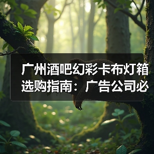 广州酒吧幻彩卡布灯箱选购指南：广告公司必读的质量密码（图2）