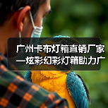 广州卡布灯箱直销厂家—炫彩幻彩灯箱助力广告公司项目提升（图4）