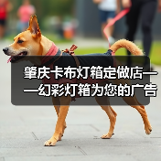肇庆卡布灯箱定做店——幻彩灯箱为您的广告增添无限可能（图2）