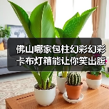 佛山哪家包柱幻彩幻彩卡布灯箱能让你笑出腹肌？（图1）