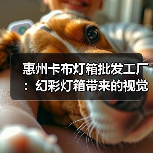 惠州卡布灯箱批发工厂：幻彩灯箱带来的视觉新体验（图1）