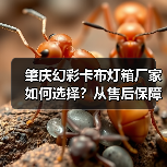 肇庆幻彩卡布灯箱厂家如何选择？从售后保障角度解析关键问题（图1）