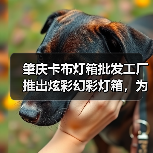 肇庆卡布灯箱批发工厂推出炫彩幻彩灯箱，为您打造独特视觉体验（图2）