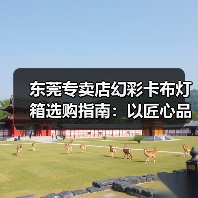 东莞专卖店幻彩卡布灯箱选购指南：以匠心品质点亮品牌视觉（图2）