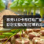 东莞LED卡布灯箱厂家助您实现幻彩灯箱的完美展示（图3）