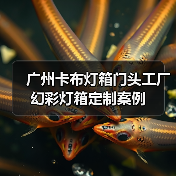 广州卡布灯箱门头工厂幻彩灯箱定制案例（图1）