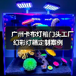 广州卡布灯箱门头工厂幻彩灯箱定制案例（图2）