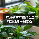 广州卡布灯箱门头工厂幻彩灯箱定制案例（图3）