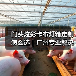 门头炫彩卡布灯箱定制怎么选｜广州专业解决方案解析（图2）