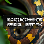 圆角幻彩幻彩卡布灯箱选购指南：肇庆广告公司必备技术解析（图4）