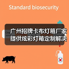 广州招牌卡布灯箱厂家提供炫彩灯箱定制解决方案（图1）