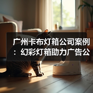 广州卡布灯箱公司案例：幻彩灯箱助力广告公司提升品牌展示（图2）