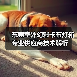 东莞室外幻彩卡布灯箱专业供应商技术解析（图3）
