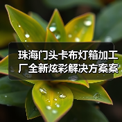 珠海门头卡布灯箱加工厂全新炫彩解决方案案例分析(图3) 珠海门头卡布灯箱加工厂全新炫彩解决方案案例分析(图3)