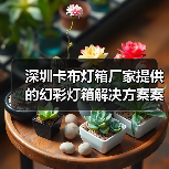 深圳卡布灯箱厂家提供的幻彩灯箱解决方案案例（图1）
